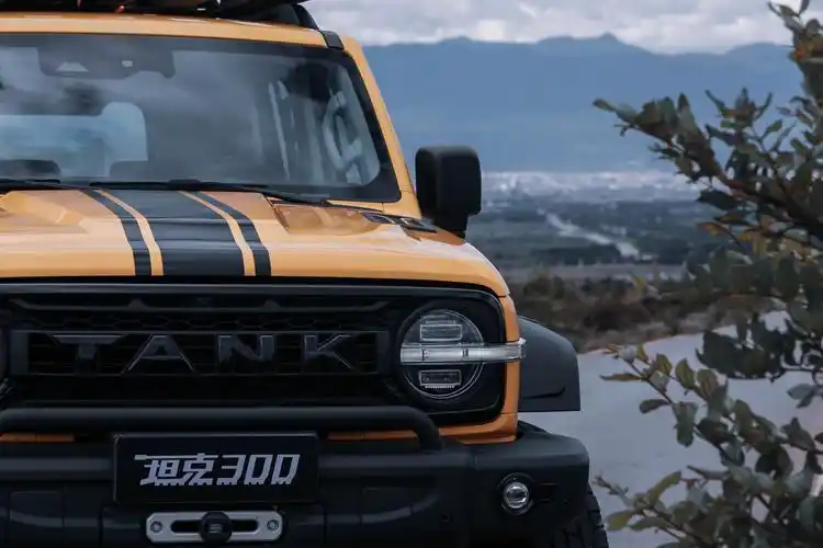 有望6月底上市 坦克300边境版官图发布 加入越野套件-车市号