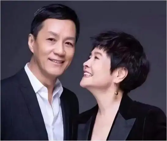 内地影坛20对明星夫妻郎才女貌比翼齐飞羡慕他们的爱情和婚姻