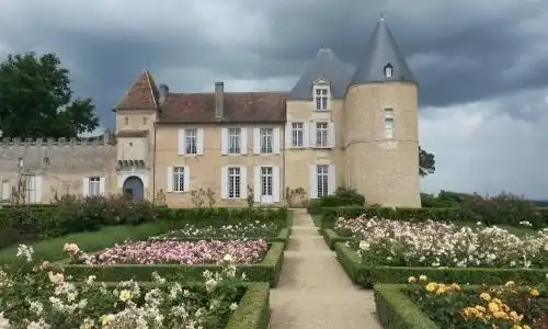 世界顶级葡萄酒——1811滴金酒庄贵腐甜白葡萄酒