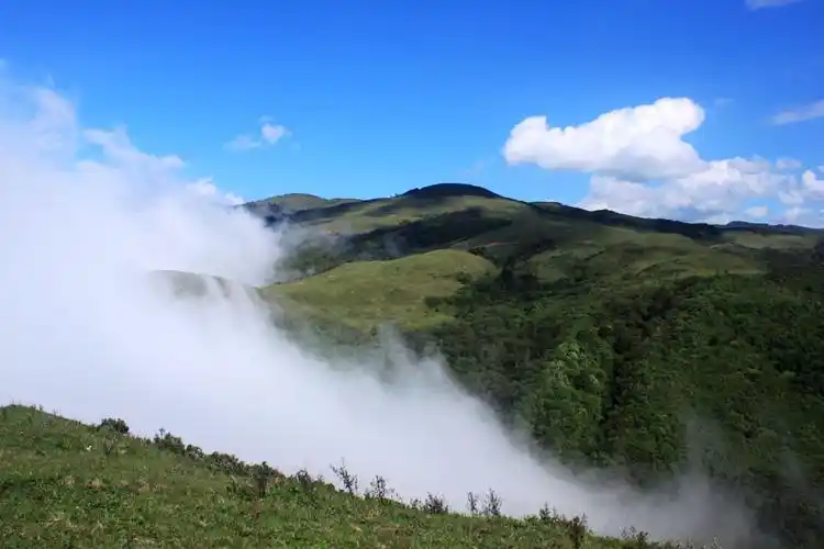 凉山大风顶自然保护区 攻略-大风顶自然保护区 门票价格多少钱-团购