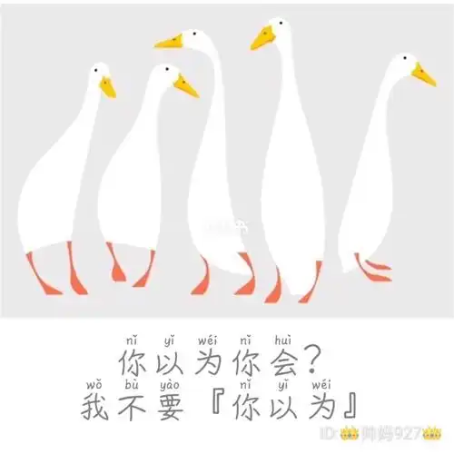 你以为你会我不要你以为