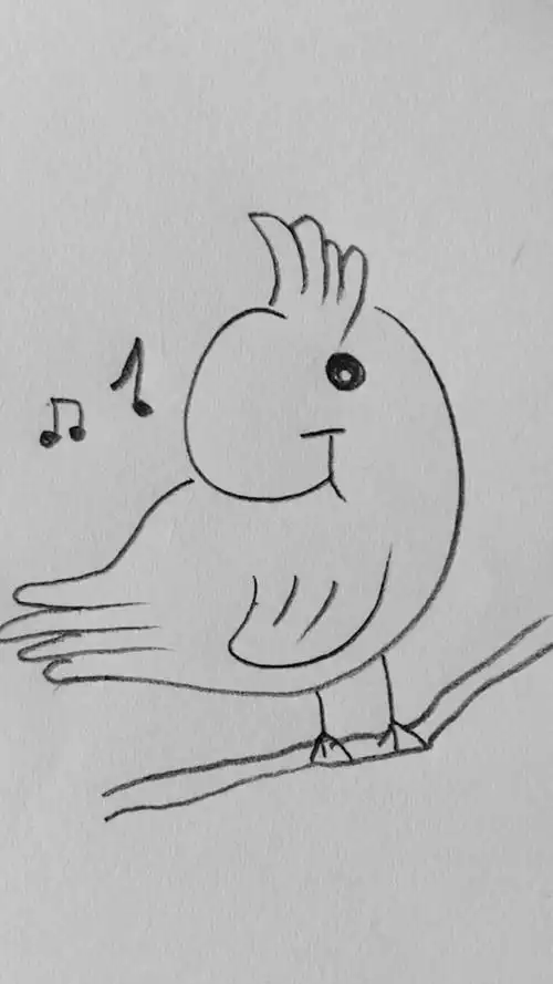 给你们画一只唱歌的小鸟.