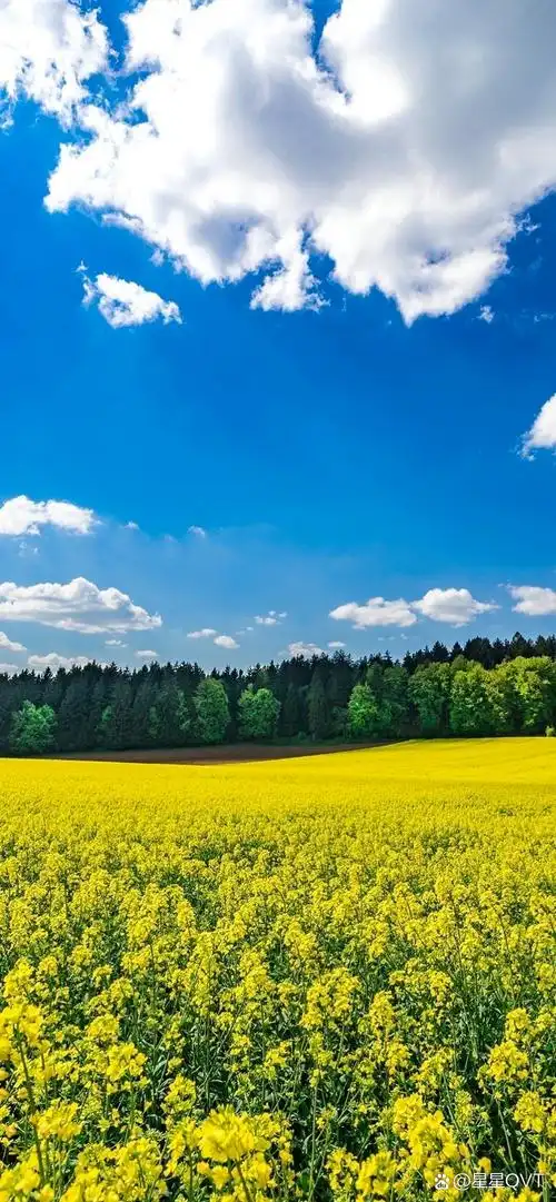 春天岀行,感受大自然的美景.