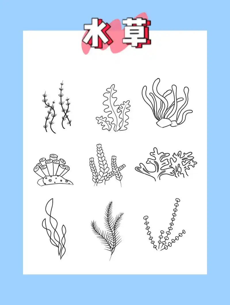 零基础简笔画儿童画-水草 像一棵海草海草海草,随风飘摇95