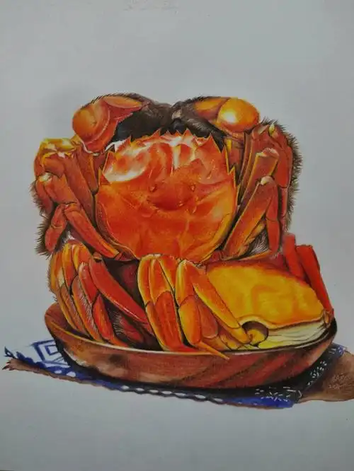 彩铅画红红火火大闸蟹02含步骤色号