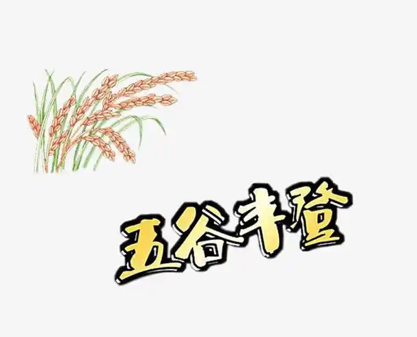 五谷丰登艺术字稻穗插图