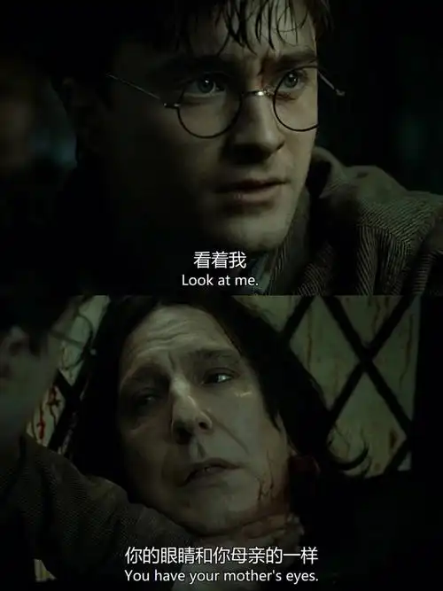 会离开我们那些年哈利波特教会了我们太多太多…#哈利波特  #经典台词