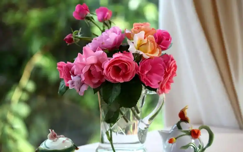 花瓶中唯美植物花卉高清图片桌面壁纸