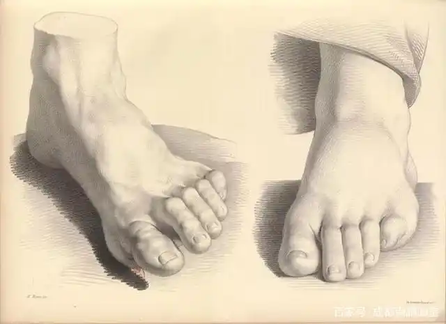 成都南鹏画室小讲堂:一组排线干净,极致细腻的素描!