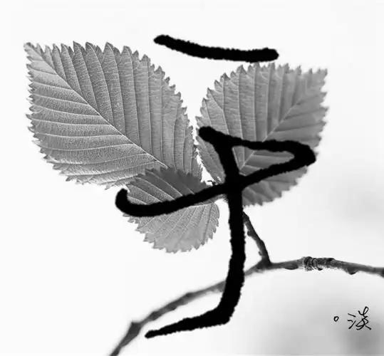 2015年4月1日 22:29   关注  壁纸 文字 手写 姓氏 评论 收藏