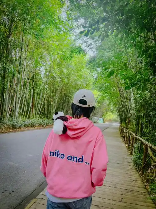 谭松韵海边背影随拍##谭松韵与海鸥随拍