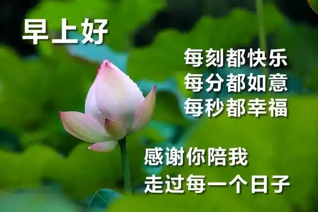 4月15日早上好问候暖心句子非常好看的带字祝福图片
