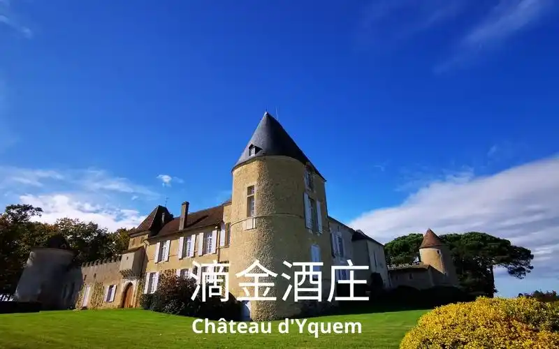 法国波尔多苏玳产区超一级庄滴金酒庄chateaudyquem这里的完美从腐烂