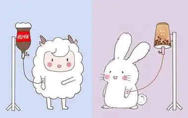 生肖中属男羊女兔的婚配怎么样