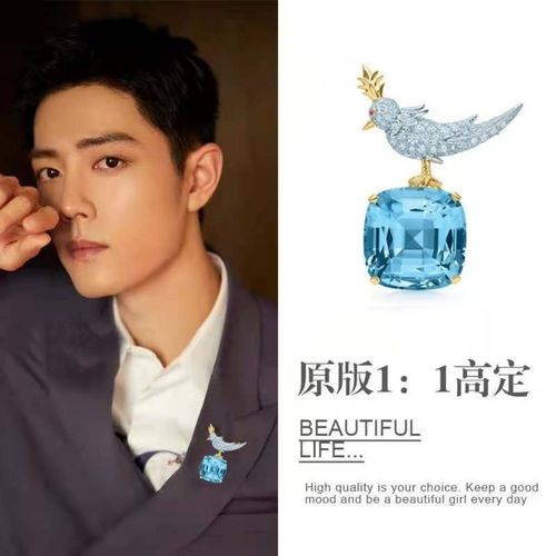 肖战同款胸针别针奢华胸花高档水晶配饰星光大赏男2020年新款潮女