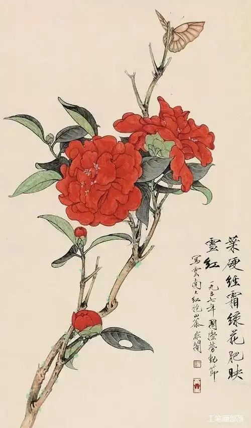 书画联盟丨工笔花卉之山茶花画法