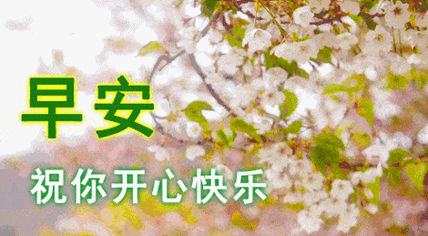 6月最新漂亮早安问候祝福动态图片鲜花带字清晨最美暖心的问候祝福语