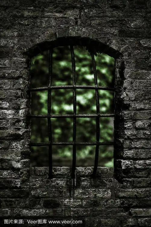 透过中世纪监狱的铁窗望出去