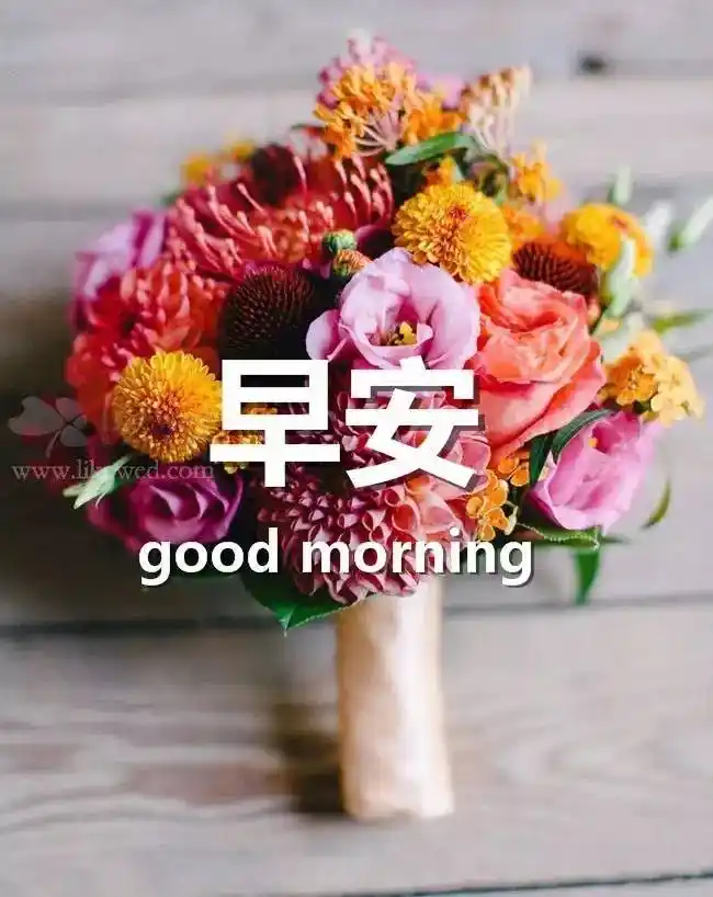 早安问候语配图片 早安祝福语带图片