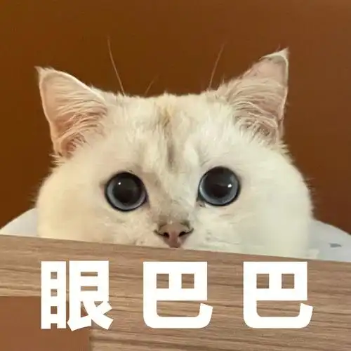 粘人精崽崽表情包