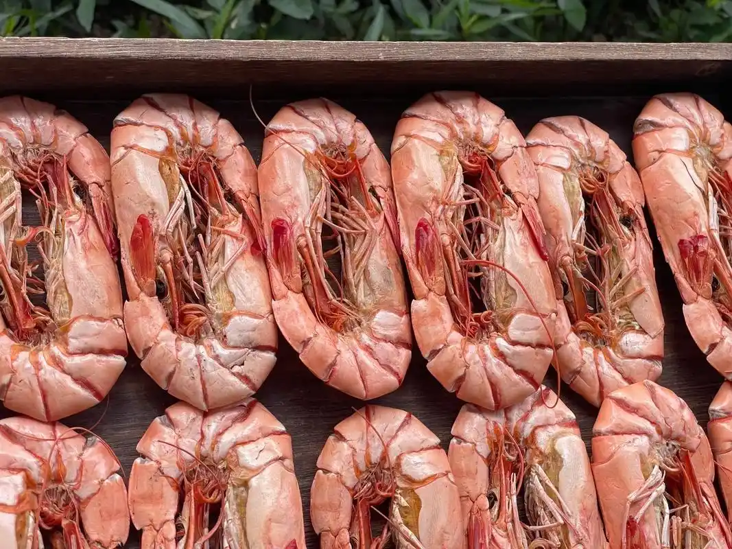 时节知好礼,相赠表心意!生晒大花虾,里面是满满的鲜虾肉,谁 - 抖音