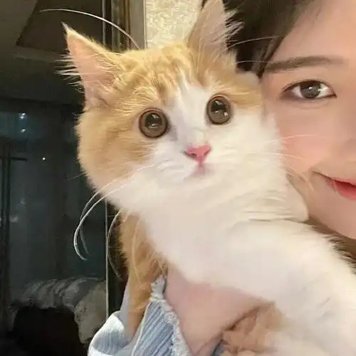 狗  #猫  #头像分享  #可爱头像  #女生头像  #优质女头  #我们景爱