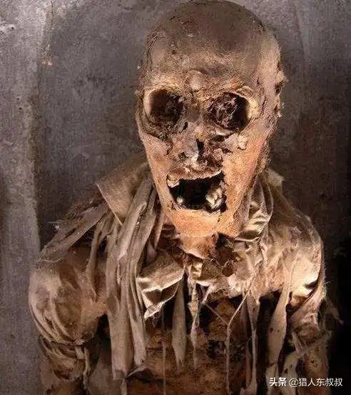 4,恐怖的木乃伊