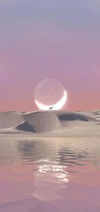 背景图 壁纸 浪漫/仙气/黑底白字/气质