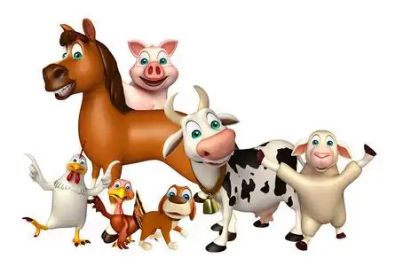 农场动物集合照片