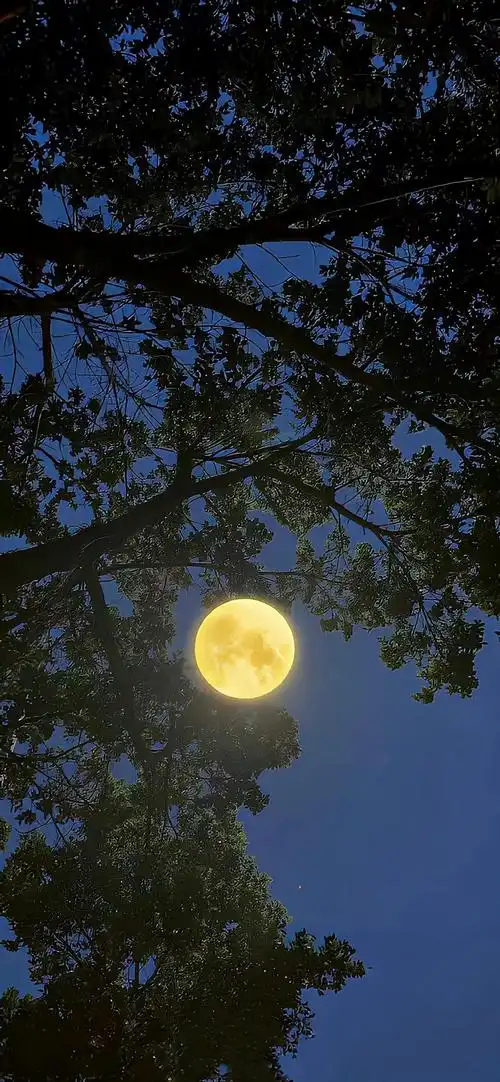 的文案##适合微信置顶的文案##ins风壁纸##朋友圈背景图##月亮壁纸