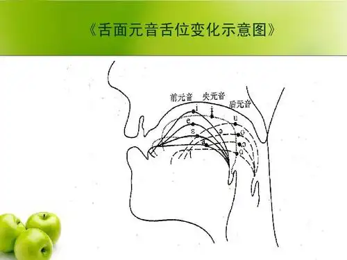 《舌面元音舌位变化示意图》