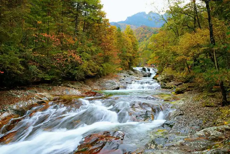 梦幻黄柏塬 写美篇黄柏塬风景区位于陕西省宝鸡市太白县,总面积896