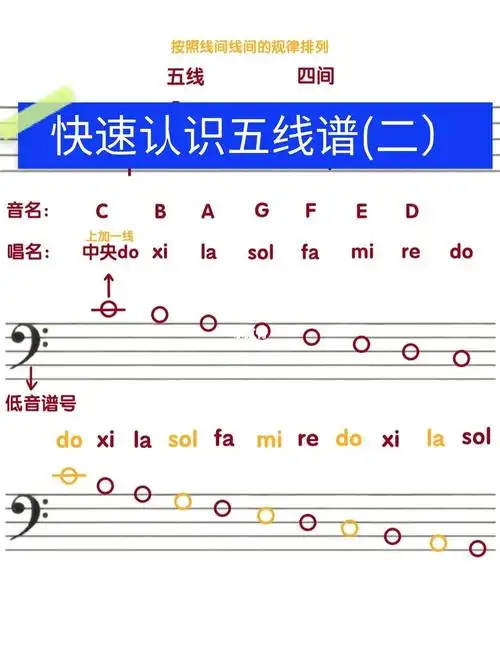 快速认识五线谱(二)这篇视频我给大家讲了低音谱号以及上面的音符