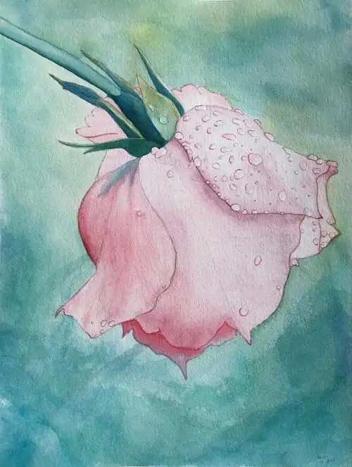 水彩花卉|纯艺术|绘画|kevin_hoo - 原创作品 - 站酷 (zcool)
