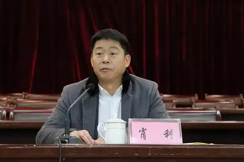 市纪委常委肖利讲话