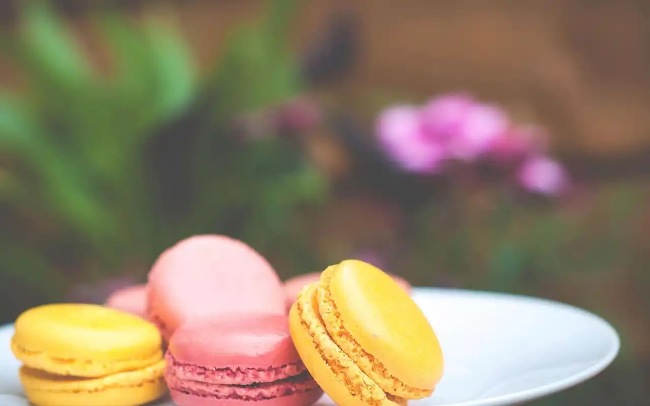 首页 桌面壁纸 美食壁纸 美味可口的马卡龙图片桌面壁纸 1920_1200