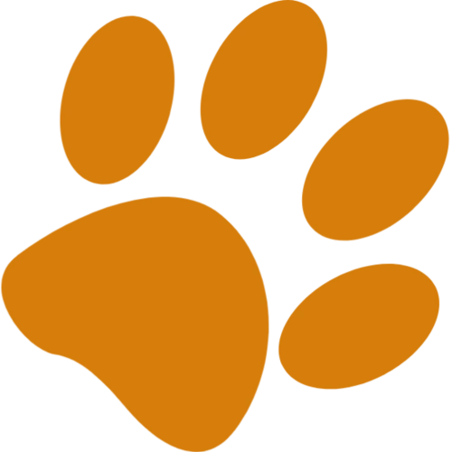 狗狗脚印的简笔画