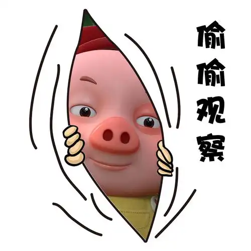 探探猫表情包快来啊这里有一只豆豆猪打包求带走