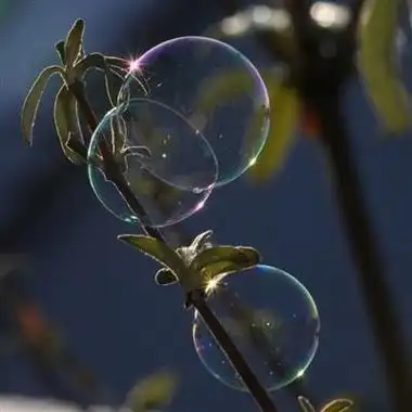 泡泡头像唯美光华透明的肥皂泡图片