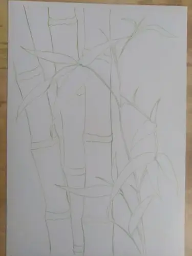 彩铅竹子 - 简书