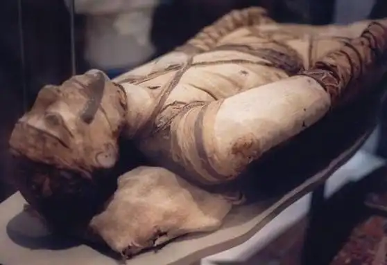 世界上十大最恐怖的木乃伊照片 埃及最可怕的木乃伊
