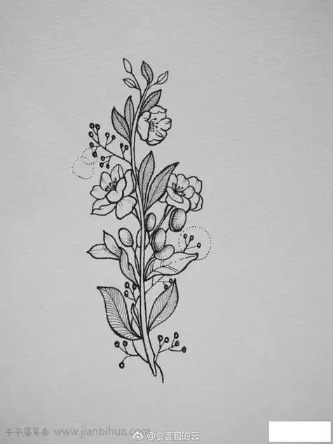 简笔画花黑白一个集