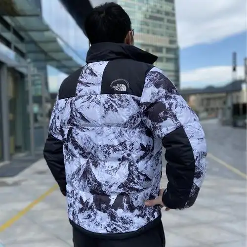 北面thenorthface限量鹅绒立领保暖拼色雪山运动羽绒服