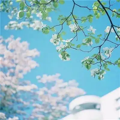 天空图片头像93张精选_风景头像_头像屋