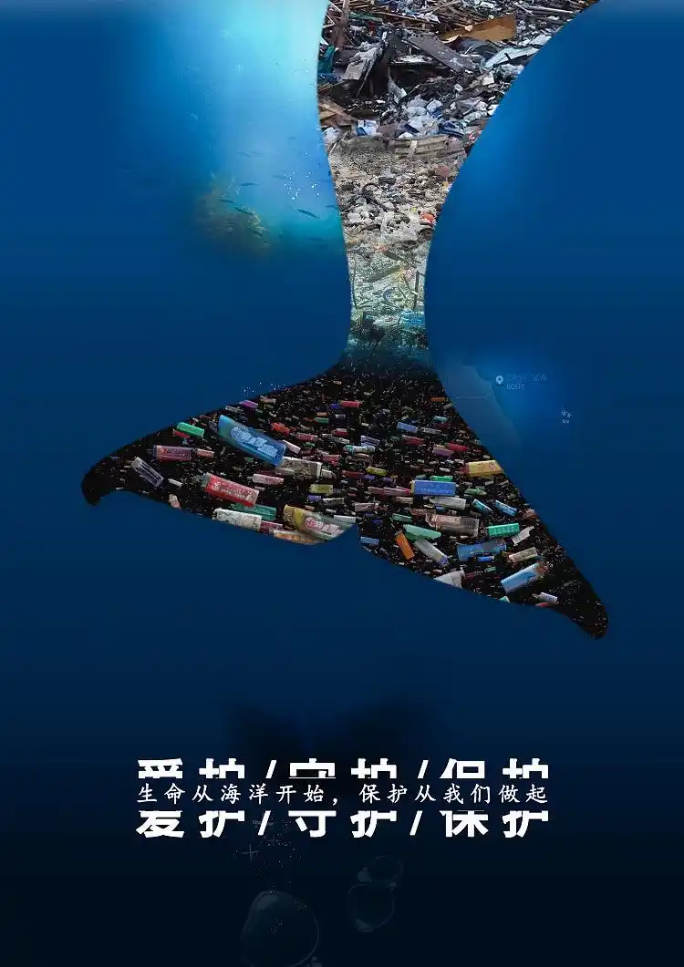 保护海洋生物-练习|平面|海报|泥猴啊_原创作品-站酷zcool