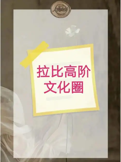 高阶文化圈揭露校园学不到的社会知识