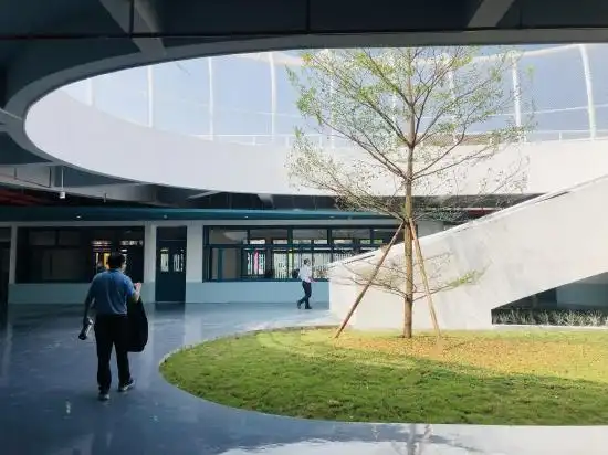 旧校区改扩建华丽蝶变 龙江两所"最美校园"落成启用