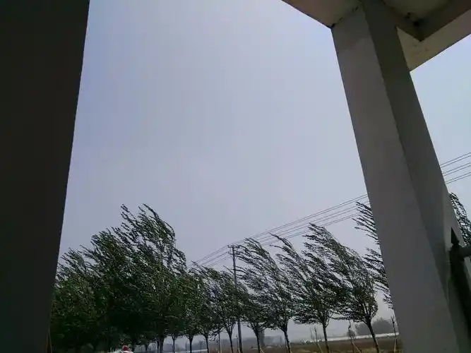 今天的风好大!五一节日不是风就是雨!