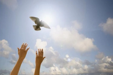 充满信心和希望的句子