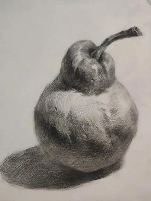 素描静物单体水果梨绘画步骤图